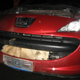 Illustration for article titled Stray Dog Survives 70 MPH Impact In Grille Of Peugeot 207